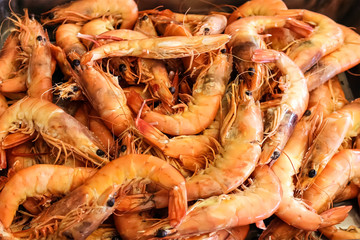 Large red prawns