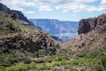 Grand Canyon National Park USA 15