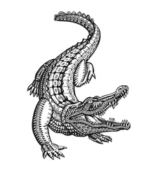 Fototapeten Crocodile, alligator or animal painted tribal ethnic ornament. Hand drawn vector illustration with decorative elements © ~ Bitter ~