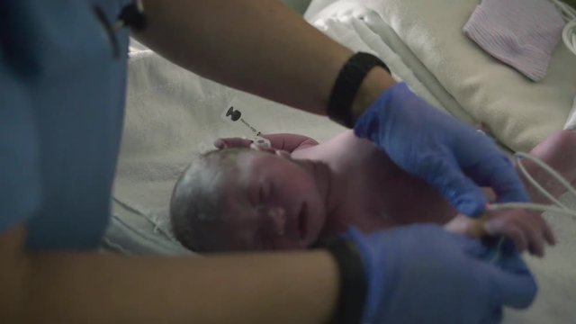 Nurse in Hospital Attaching Heart Beat Monitor to Wrist of Newborn Baby