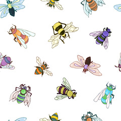 Bee pattern. Colorful insect hand drawn background