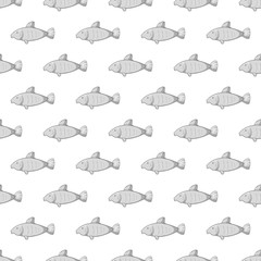 Marine fish seamless pattern on white background. Seafood design vector illustration
