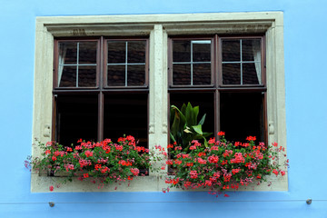 An old house window decorated with flower pots.