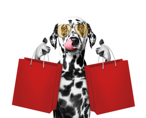 Cute dog goes shopping and sales