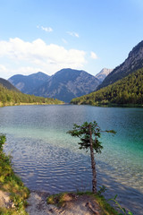 Plansee lake in the Alps mountain, Austria.