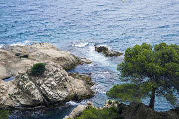 Fototapeta na wymiar Beautiful landscape of the sea coast.