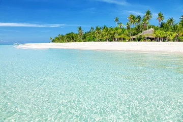 Fototapete Tropischer Strand Traumhafter türkisfarbener Strand mit Palmen und weißem Sand