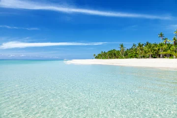Küchenrückwand glas motiv Tropischer Strand Traumhafter türkisfarbener Strand mit Palmen und weißem Sand