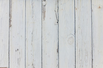 Naklejka premium White Wood Background