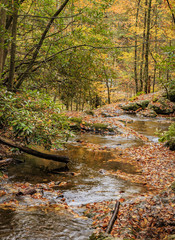 Fall in the Great Smokies