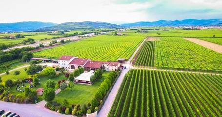 Fototapeten Aerial view of an old farmhouse in the vineyards near Soave, Ita © isaac74