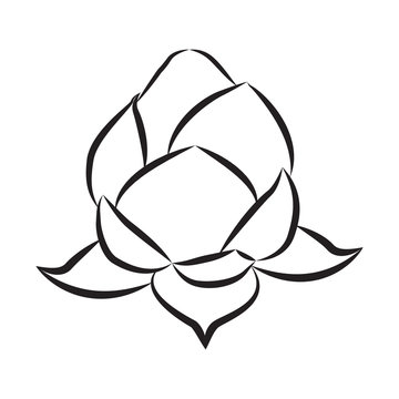 lotus icon isolated illustration
