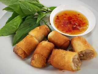 Fired spring rolls on white dish