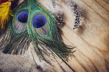 peacock feather on wood texture background