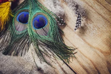 Papier Peint photo Paon peacock feather on wood texture background