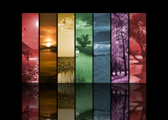 Nature collage made of my photos 