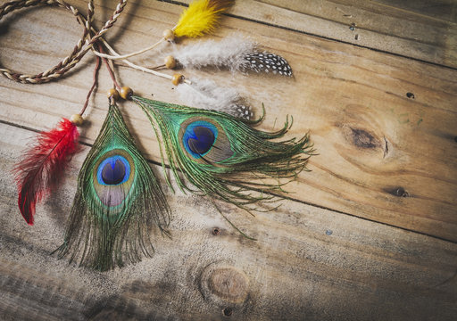 Fototapeta peacock feather on wood texture background