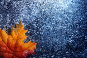Autumn leaf in blue frost background