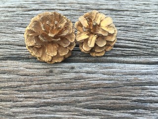 Gold pine cones on wood background