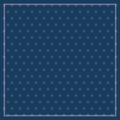 usa american patriotic stars whit white frame background. vector illustration