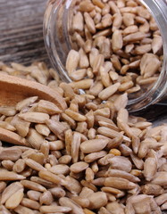 Sunflower seeds spilling out of glass jar. Wooden background