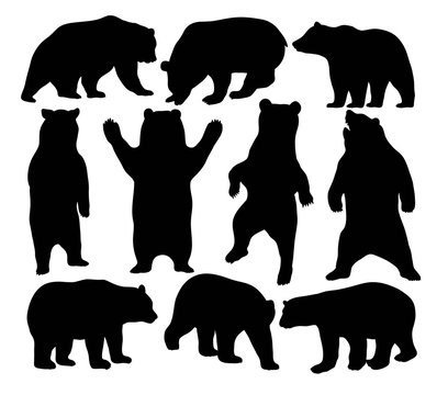 Bear Wildlife Silhouette, art vector design