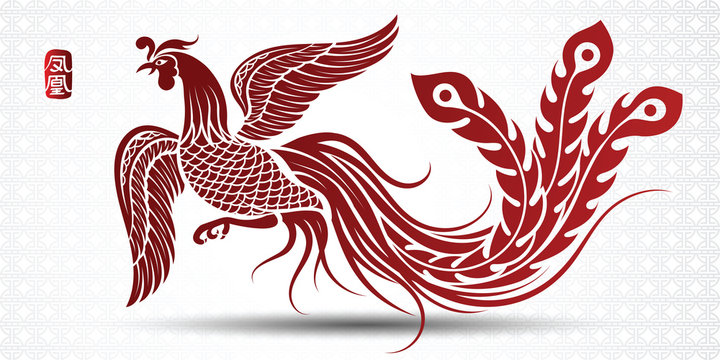 Chinese phoenix  vector