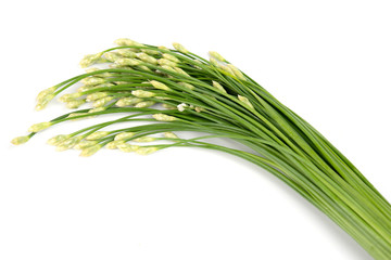 Kuicheai Vegetable leaves Thailand