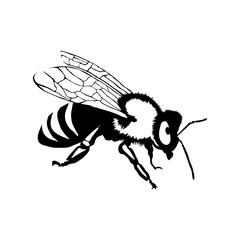 bee logo