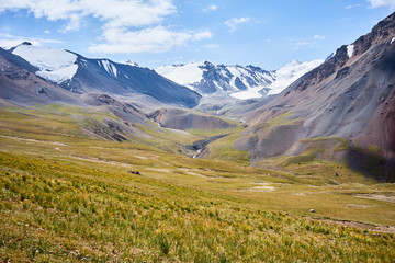 Obraz premium Mountain in Kichik-Alai Range in Kyrgyzstan