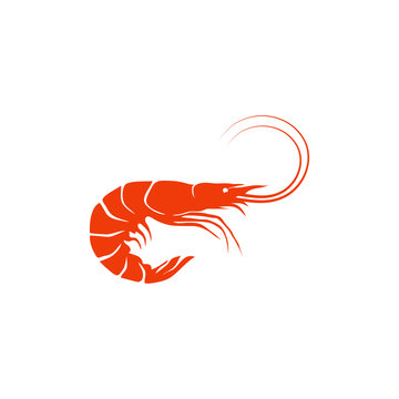 brine shrimp logo