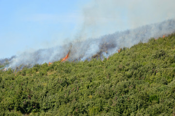 Fototapeta premium An arson attack on the mountains Prenestini of Castel San Pietro