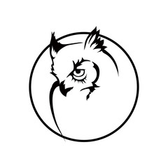 Naklejka premium owl logo