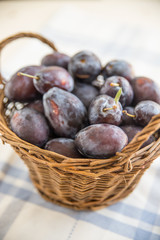 Zwetschgen, Pflaumen