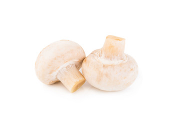 Champignon Isolated on White Background