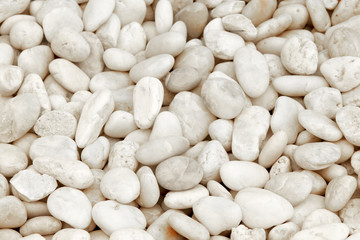 textured of white stone or rock background