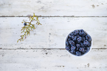 grape fruit vine food blue wet georgian leaf white color 