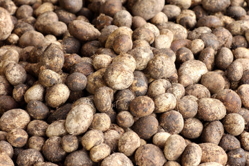 puffball mushroom, thai mushroom background