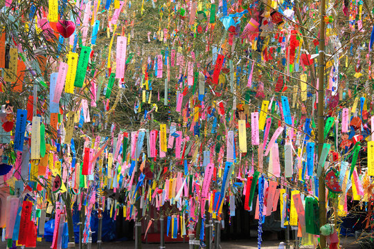七夕祭り Images Browse 2 654 Stock Photos Vectors And Video Adobe Stock 七夕祭り Images Browse 2 654 Stock Photos Vectors And Video Adobe Stock