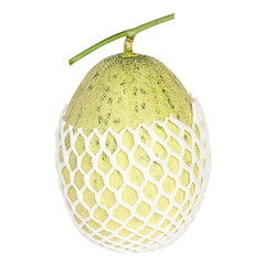 Organic melon isolated on white background