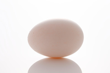 一個の卵