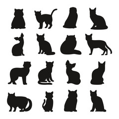 Cat breeds cute pet animal set vector illustration. Cat breed animal and cartoon different cats. Mammal character human friend cat breed animals icons. Character cat portrait friend feline.