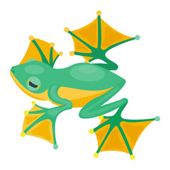 Frog cartoon tropical animal cartoon nature icon. Funny frog cartoon vector illustration. Some frog flat syle isolated on white background
