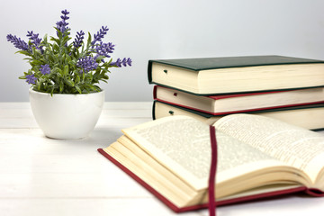Stack of books on the table and a lavender plant