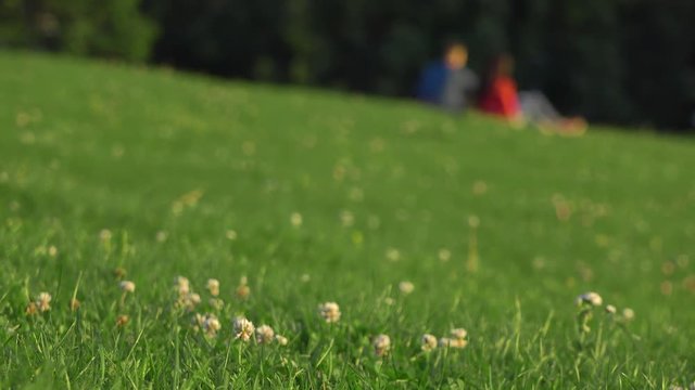 Defocused couple in blue and red clothes having picnic on the grass in city park. 4K background bokeh shot