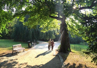 Senior couple taking a walk in park by the pond
