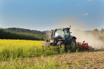Fototapeta premium Blue tractor in a field of mustard in the Czech Republic. Dusty field and agricultural work. Autumn farm chores. The tractor mows mustard on a sunny day. Farmer working in the field. 