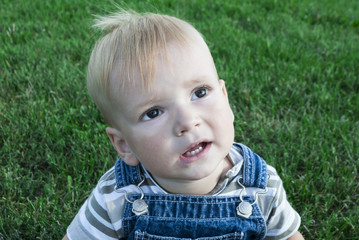 little boy sitting on the grass