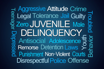Juvenile Delinquency Word Cloud