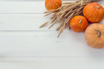 Background with pumpkins and ears of wheat on a white wooden boa